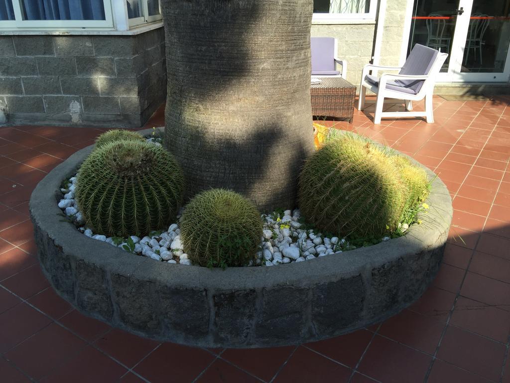 Hotel Villa Al Parco Forio  ภายนอก รูปภาพ